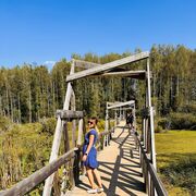 ���������� ������, ���� ������� �����, 39 ���, ������������ ��� ����� � ���������, c�������� ���������