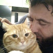 ���������� ������, ���� ������� ������, 41 ���, ������������ ��� ����� � ���������, c�������� ���������