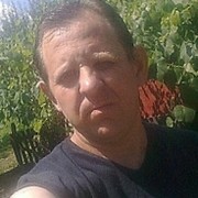  -,  ALLEX, 51