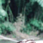 ���������� ������, ���� ������� �������, 50 ���, ������������ ��� ������, ����� � ���������, c�������� ���������