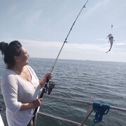  ,   , 53 ,   ,   