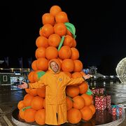 ���������� ������, ���� ������� �����, 38 ���, ������������ ��� ������, ����� � ���������