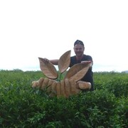  ,   , 39 ,   c 