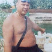  ,   STAS, 51 ,     , c 