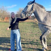 ���������� ������, ���� ������� �������, 41 ���, ������������ ��� ������, ����� � ���������, c�������� ���������