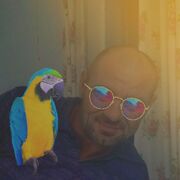  --,   , 46 ,   ,   , c 