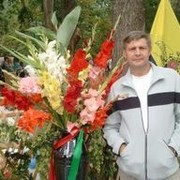  ,   , 53 ,   