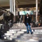 ���������� ����������, ���� ������� ���������, 41 ���, ������������ ��� ������, ����� � ���������