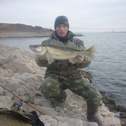 ���������� �����-���������, ���� ������� �������, 43 ����, ������������ ��� ������