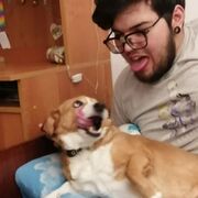 ���������� �����, ���� ����� ������, 25 ���, ������������ ��� ������, ����� � ���������