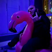  ,   Weazyshow, 26 ,   ,   