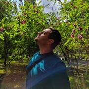 ���������� ������-��-����, ���� ������� ��������, 37 ���, ������������ ��� ������, ����� � ���������, ���������