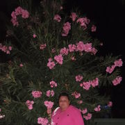 ���������� ���, ���� ������� ���, 47 ���, ������������ ��� ������, ����� � ���������, c�������� ���������