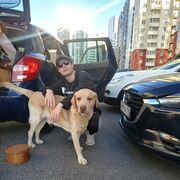 ���������� �����-���������, ���� ����� ����, 22 ����, ������������ ��� ������, ����� � ���������, c�������� ���������