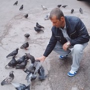 ���������� ������, ���� ������� �������, 44 ����, ������������ ��� ������, ����� � ���������, c�������� ���������