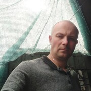  ,   , 41 ,     , c 