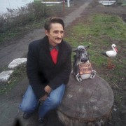  ,   , 51 ,   , 