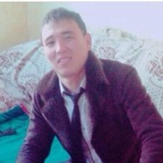  -,   , 37 ,  