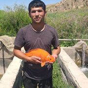  ,   , 20 ,  
