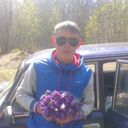  ,   GANG, 80 ,   