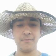 ���������� ������, ���� ������� ��������, 26 ���, ������������ ��� ������, ����� � ���������