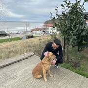 ���������� ������, ���� ������� Abdullah, 27 ���, ������������ ��� ������, ����� � ���������