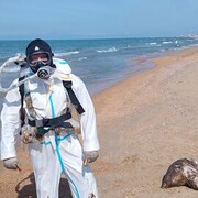 ���������� �����, ���� ������� ������, 35 ���, ������������ ��� ������, ����� � ���������, c�������� ���������