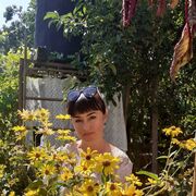  ,   , 52 ,   ,   