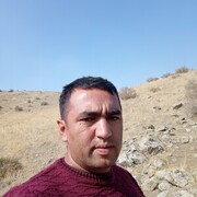  ,  Sher, 37