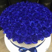 ���������� �����-���������, ���� ����� ������, 25 ���, ������������ ��� ����� � ���������, c�������� ���������, ���������