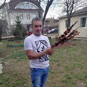 ���������� ������ ��������, ���� ������� �������, 40 ���, ������������ ��� ������, ����� � ���������, c�������� ���������