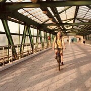 ���������� ������, ���� ������� ������, 38 ���, ������������ ��� ������, ����� � ���������, c�������� ���������, ���������