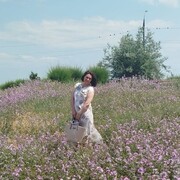 ���������� ������, ���� ������� �������, 48 ���, ������������ ��� ������, ����� � ���������, c�������� ���������, ���������