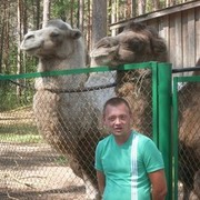 ���������� ����, ���� ������� ������, 38 ���, ������������ ��� ������, ����� � ���������, c�������� ���������