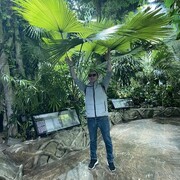  -,   , 30 ,   ,   , c , 