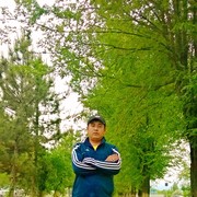  -,   , 41 ,   ,   , c 