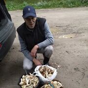 ���������� �����-���������, ���� ������� ������, 44 ����, ������������ ��� ������, ���������