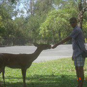 ���������� ������, ���� ������� �������, 42 ����, ������������ ��� ������, ����� � ���������, c�������� ���������