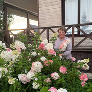 ���������� �����������, ���� ������� �����, 59 ���, ������������ ��� ������, ����� � ���������, c�������� ���������