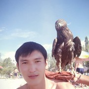 ���������� ������, ���� ������� ������, 36 ���, ������������ ��� ������