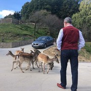 ���������� �����, ���� ������� Garibov, 56 ���, ������������ ��� ������, ����� � ���������, c�������� ���������