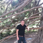 ���������� �������, ���� ������� ���������, 38 ���, ������������ ��� ������, ����� � ���������, c�������� ���������