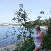  ,   , 56 ,  