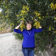  ,   , 62 ,     , c 