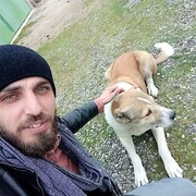  ,   Abdul, 37 ,   ,   , c , 