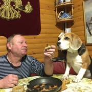  ,   , 66 ,   