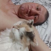 ���������� �����������, ���� ������� ������ ���, 47 ���, ������������ ��� ������, ����� � ���������, c�������� ���������, ���������