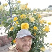 ���������� ��������, ���� ������� ������, 39 ���, ������������ ��� ������, ����� � ���������, c�������� ���������