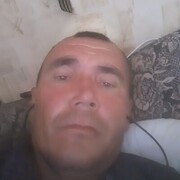  -,   , 51 ,   c 