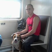 ���������� ��������, ���� ������� ������, 84 ����, ������������ ��� ������, ����� � ���������, c�������� ���������